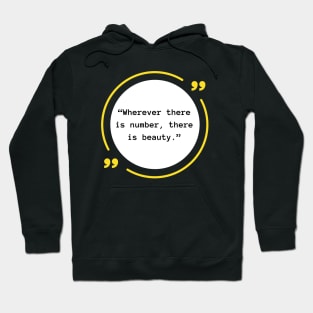 Beauty in Numbers Hoodie